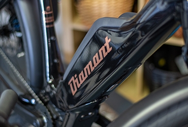 E-BIKEBOSCHSHIMANOBROSE